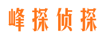 杏花岭市场调查